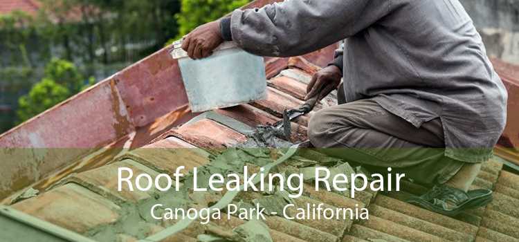 Roof Leaking Repair Canoga Park - California