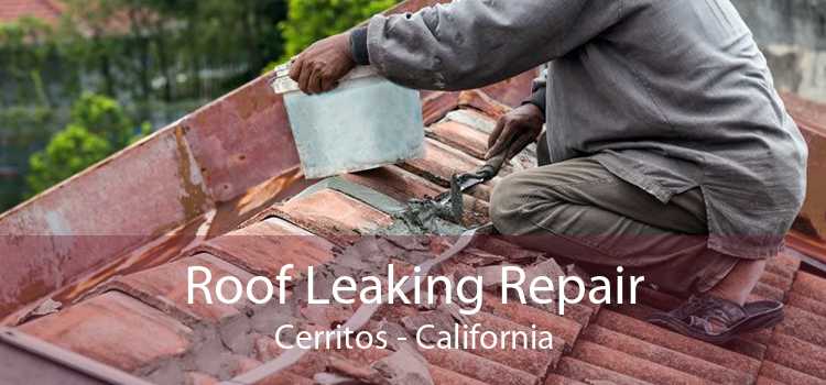 Roof Leaking Repair Cerritos - California