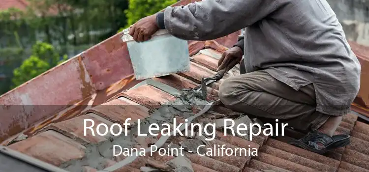 Roof Leaking Repair Dana Point - California