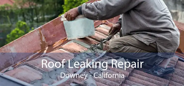 Roof Leaking Repair Downey - California