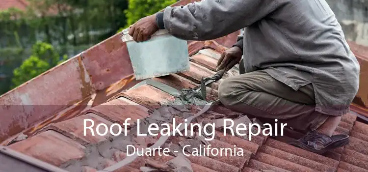 Roof Leaking Repair Duarte - California