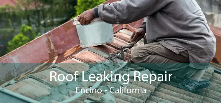 Roof Leaking Repair Encino - California