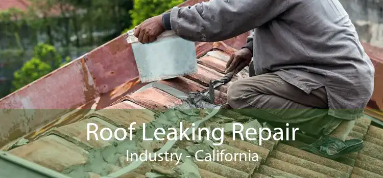 Roof Leaking Repair Industry - California