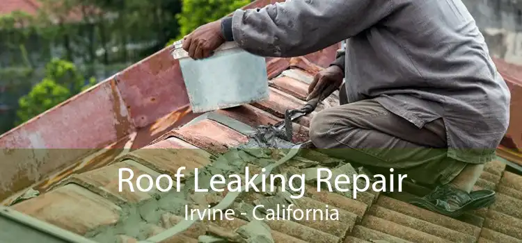 Roof Leaking Repair Irvine - California