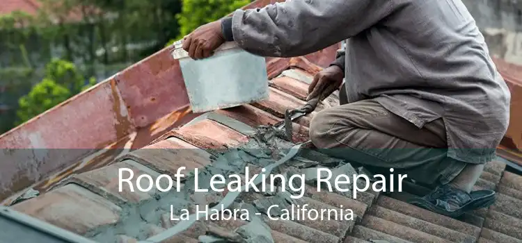 Roof Leaking Repair La Habra - California