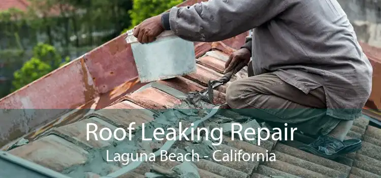 Roof Leaking Repair Laguna Beach - California