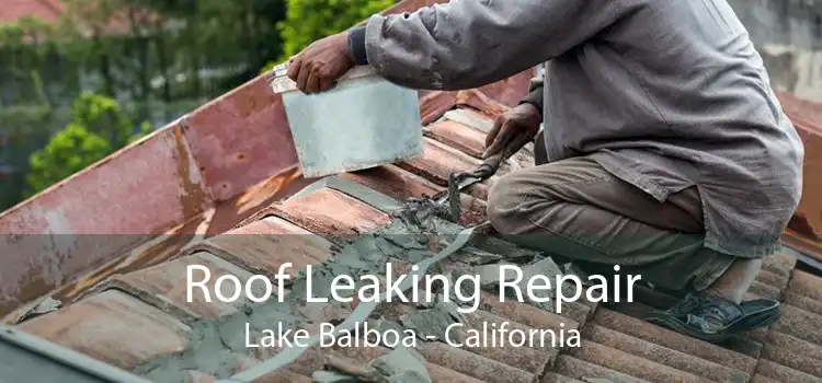 Roof Leaking Repair Lake Balboa - California