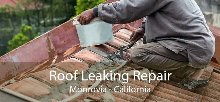 Roof Leaking Repair Monrovia - California