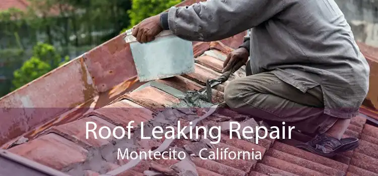 Roof Leaking Repair Montecito - California