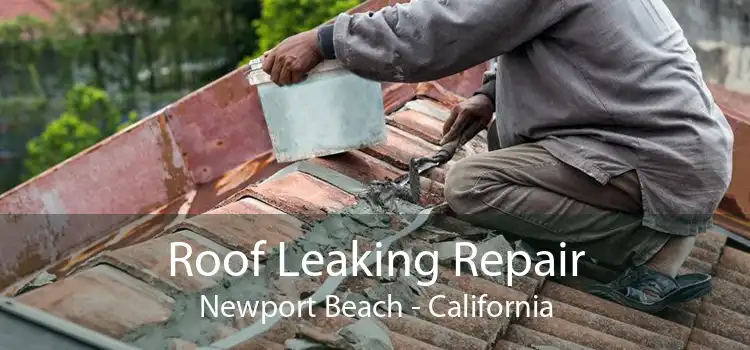 Roof Leaking Repair Newport Beach - California