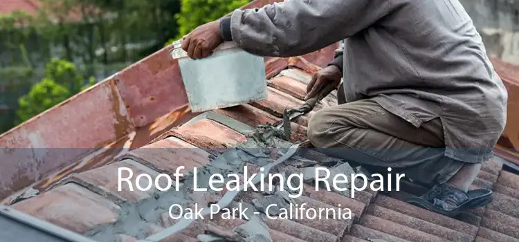 Roof Leaking Repair Oak Park - California