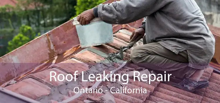 Roof Leaking Repair Ontario - California