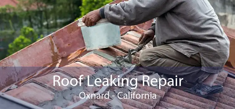 Roof Leaking Repair Oxnard - California