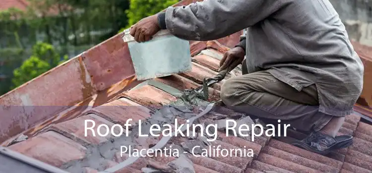 Roof Leaking Repair Placentia - California