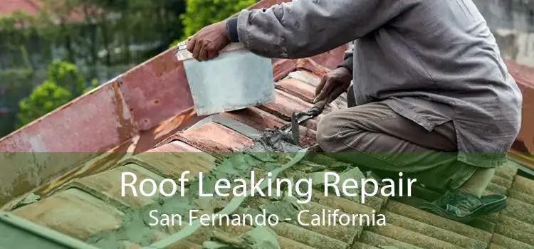 Roof Leaking Repair San Fernando - California