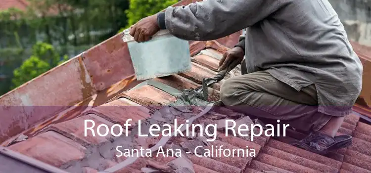 Roof Leaking Repair Santa Ana - California