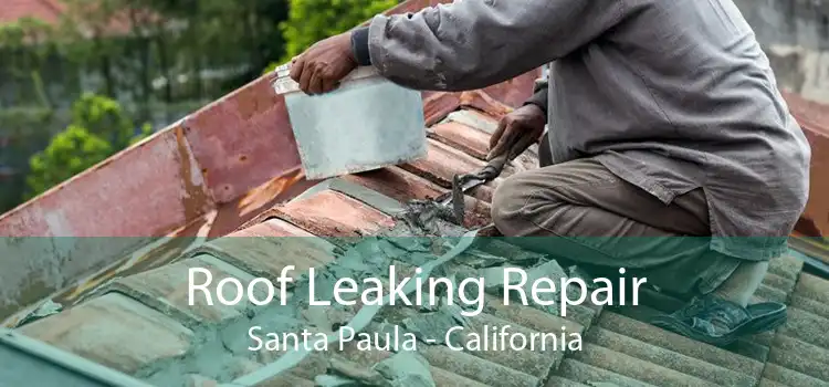 Roof Leaking Repair Santa Paula - California