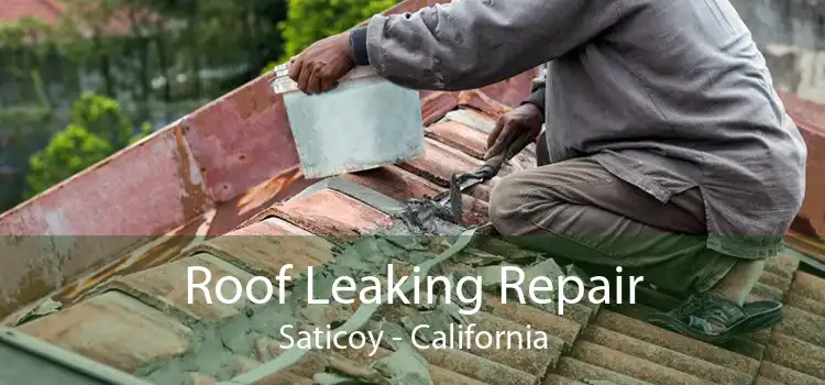 Roof Leaking Repair Saticoy - California