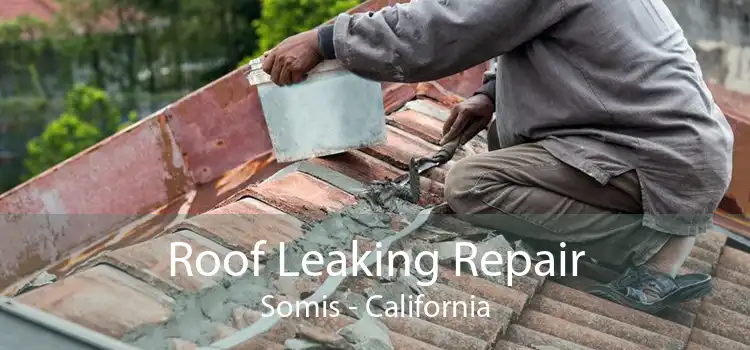 Roof Leaking Repair Somis - California
