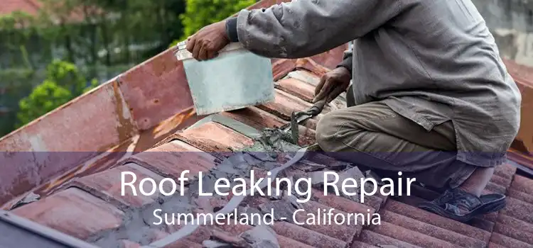 Roof Leaking Repair Summerland - California