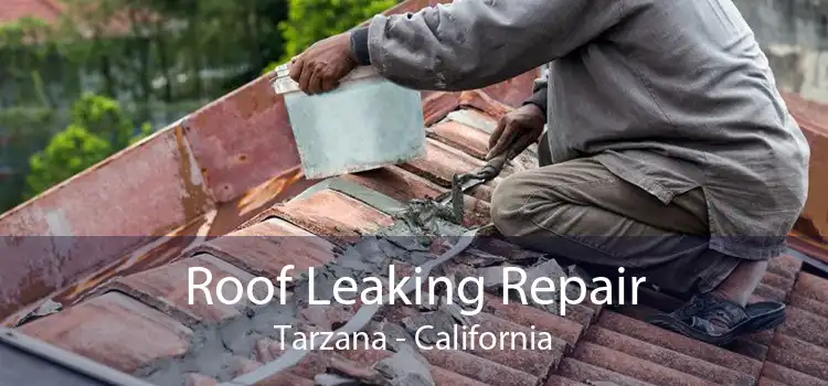 Roof Leaking Repair Tarzana - California