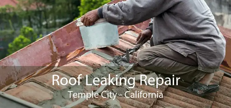 Roof Leaking Repair Temple City - California