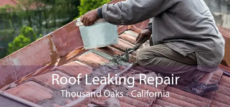 Roof Leaking Repair Thousand Oaks - California