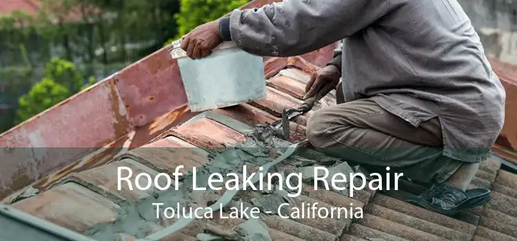 Roof Leaking Repair Toluca Lake - California