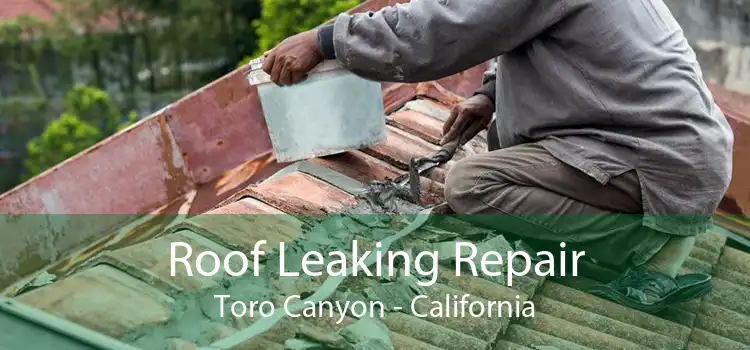 Roof Leaking Repair Toro Canyon - California
