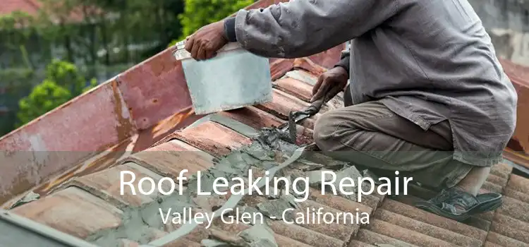 Roof Leaking Repair Valley Glen - California