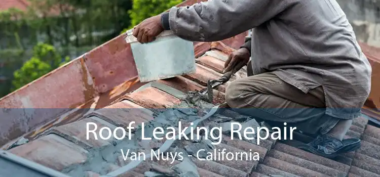 Roof Leaking Repair Van Nuys - California