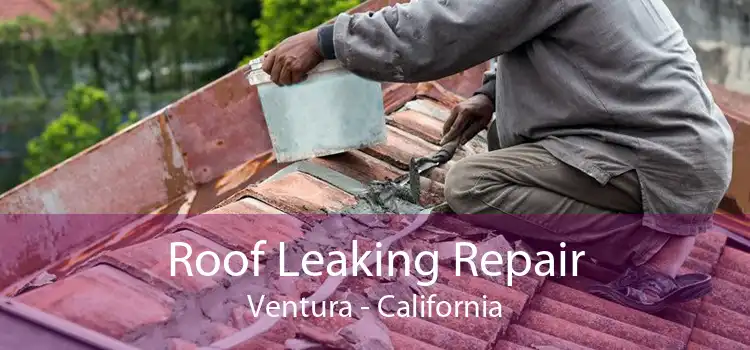 Roof Leaking Repair Ventura - California