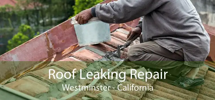 Roof Leaking Repair Westminster - California