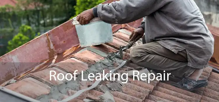 Roof Leaking Repair 