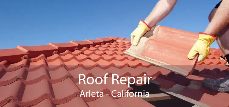 Roof Repair Arleta - California