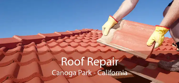 Roof Repair Canoga Park - California