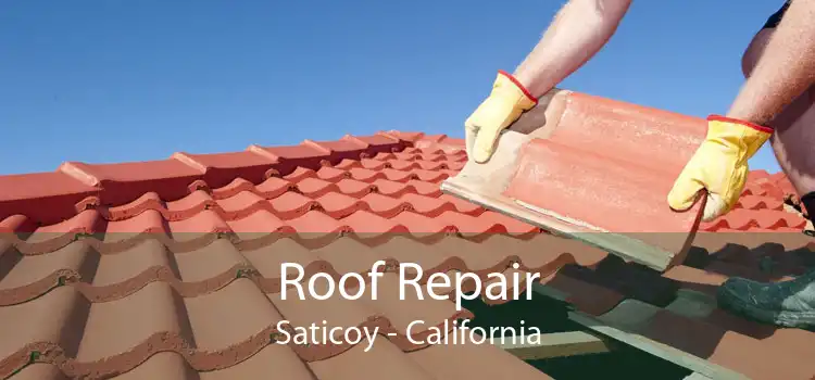 Roof Repair Saticoy - California