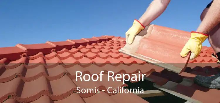 Roof Repair Somis - California