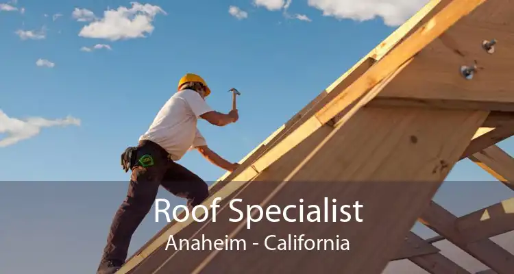 Roof Specialist Anaheim - California