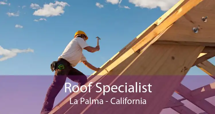 Roof Specialist La Palma - California