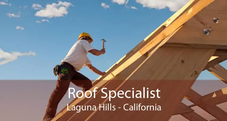 Roof Specialist Laguna Hills - California