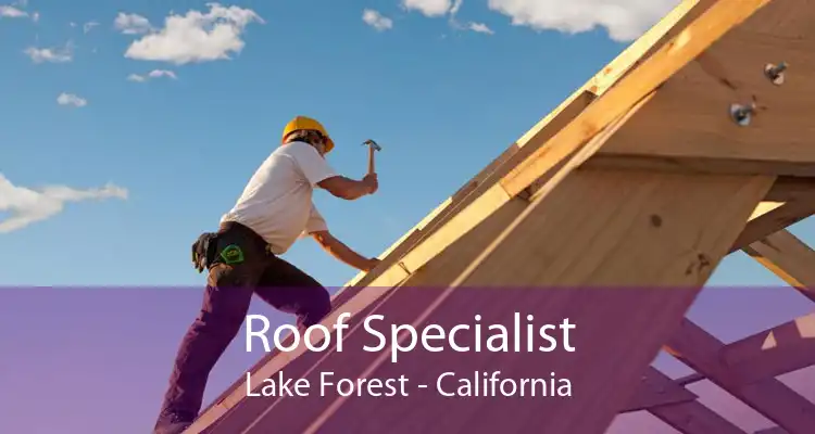 Roof Specialist Lake Forest - California