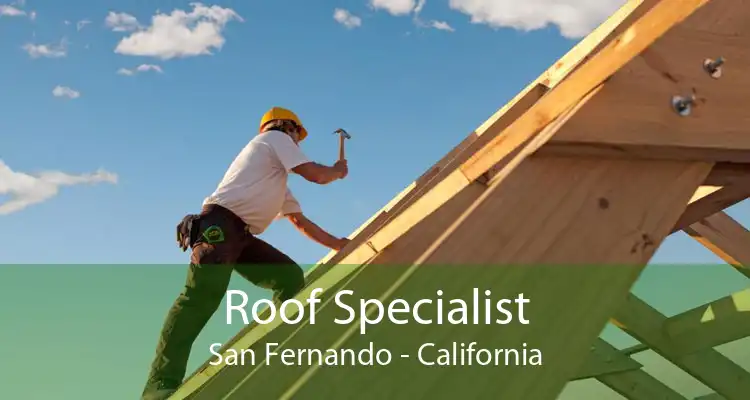 Roof Specialist San Fernando - California