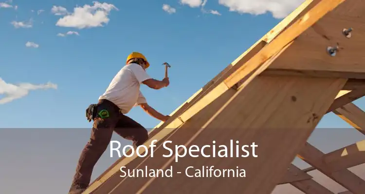 Roof Specialist Sunland - California