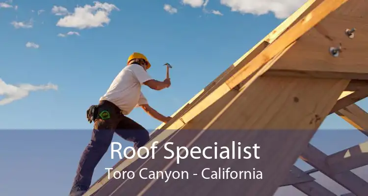 Roof Specialist Toro Canyon - California