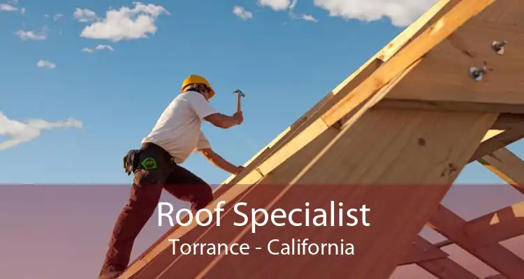 Roof Specialist Torrance - California