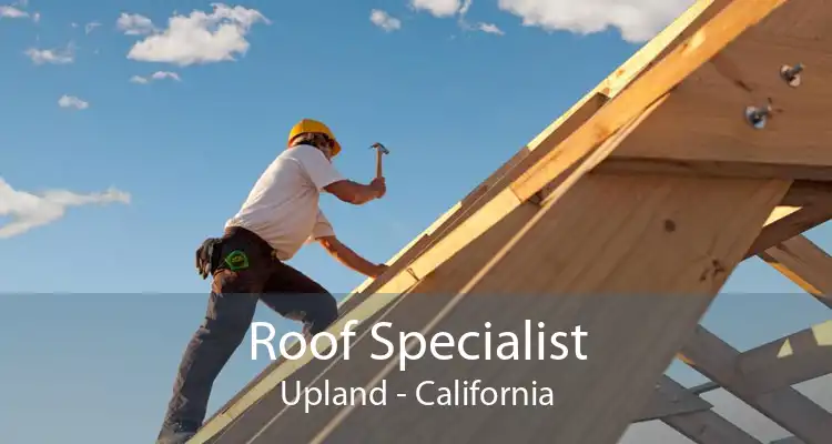 Roof Specialist Upland - California