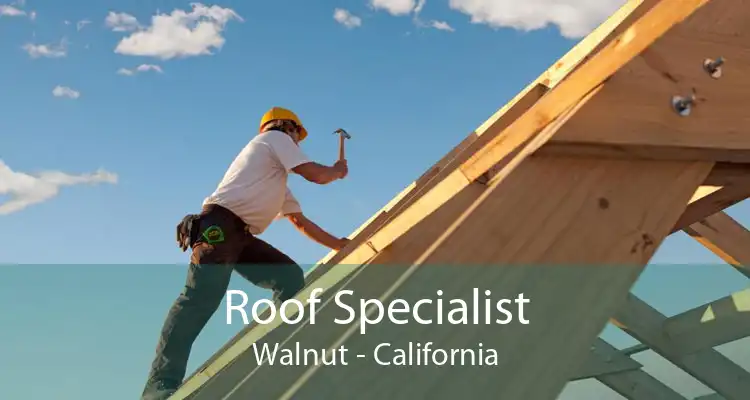 Roof Specialist Walnut - California