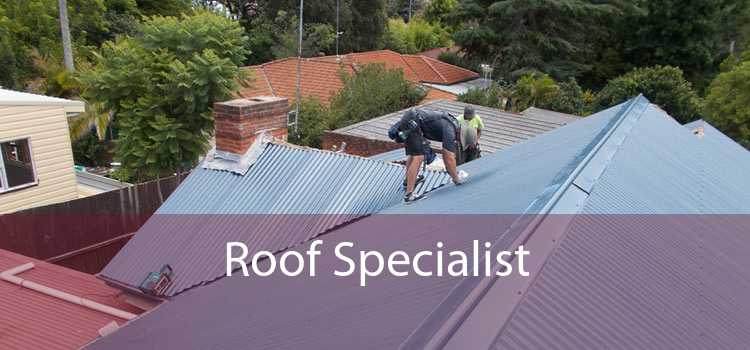 Roof Specialist 