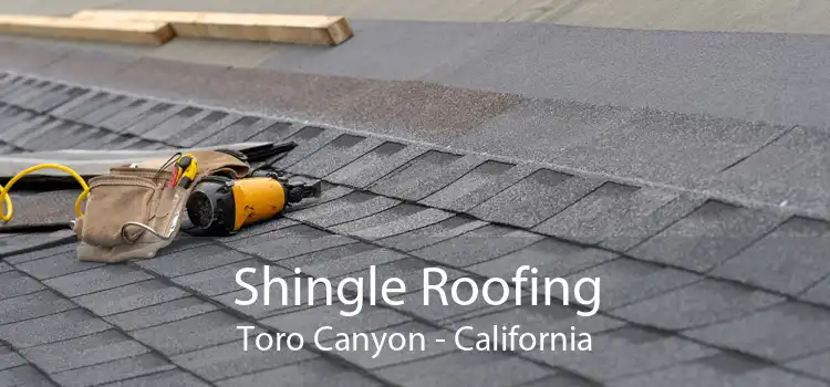 Shingle Roofing Toro Canyon - California